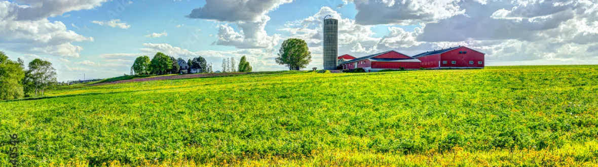 Distant barn