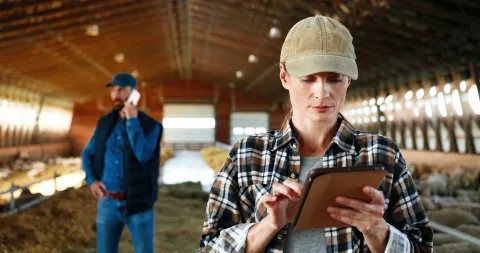 Farmer updating records